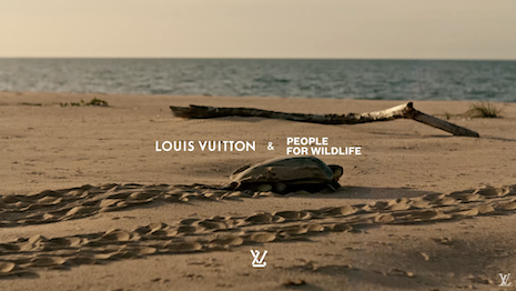 Louis Vuitton in Climate Project Journeys - Postkiwi