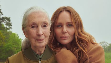 The many faces of Stella McCartney, Stella McCartney